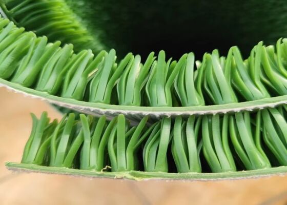 فرش چمن معدن طلا برای تجهیزات پردازش