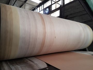 دوام کمربند آرمید لبه با دوام بالا برای خط راه راه BHS ، FOSBER ، MARQUIP